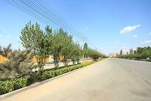 興文西道道路綠化工程